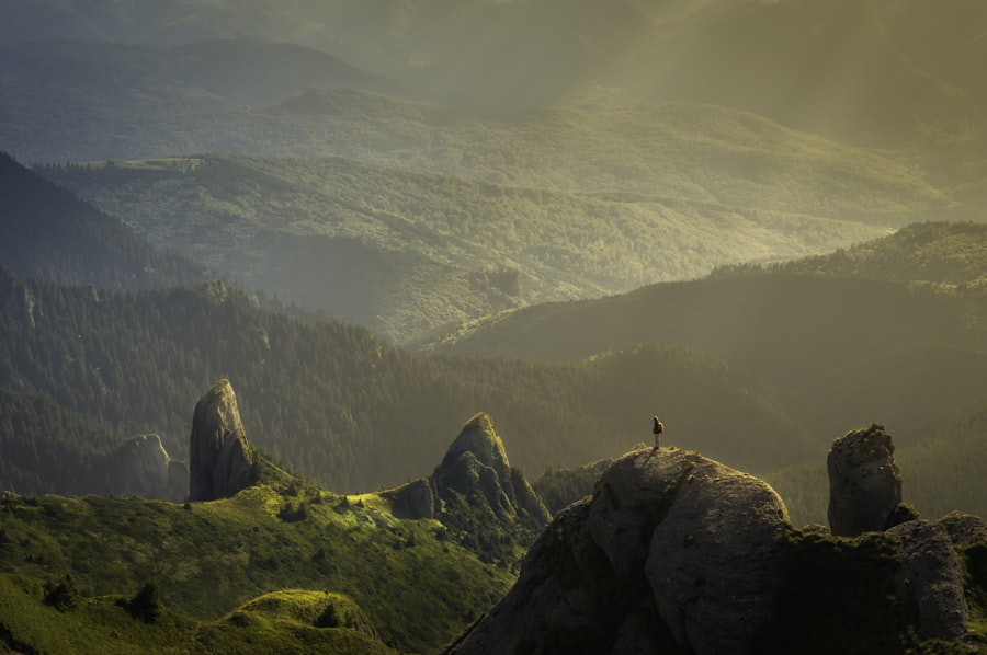 Traveler standing above a mountain view